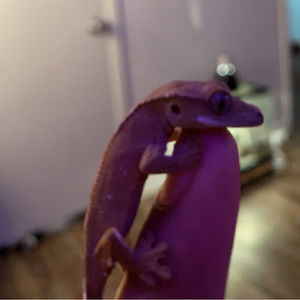 Meet your Posher, Sl_thunder